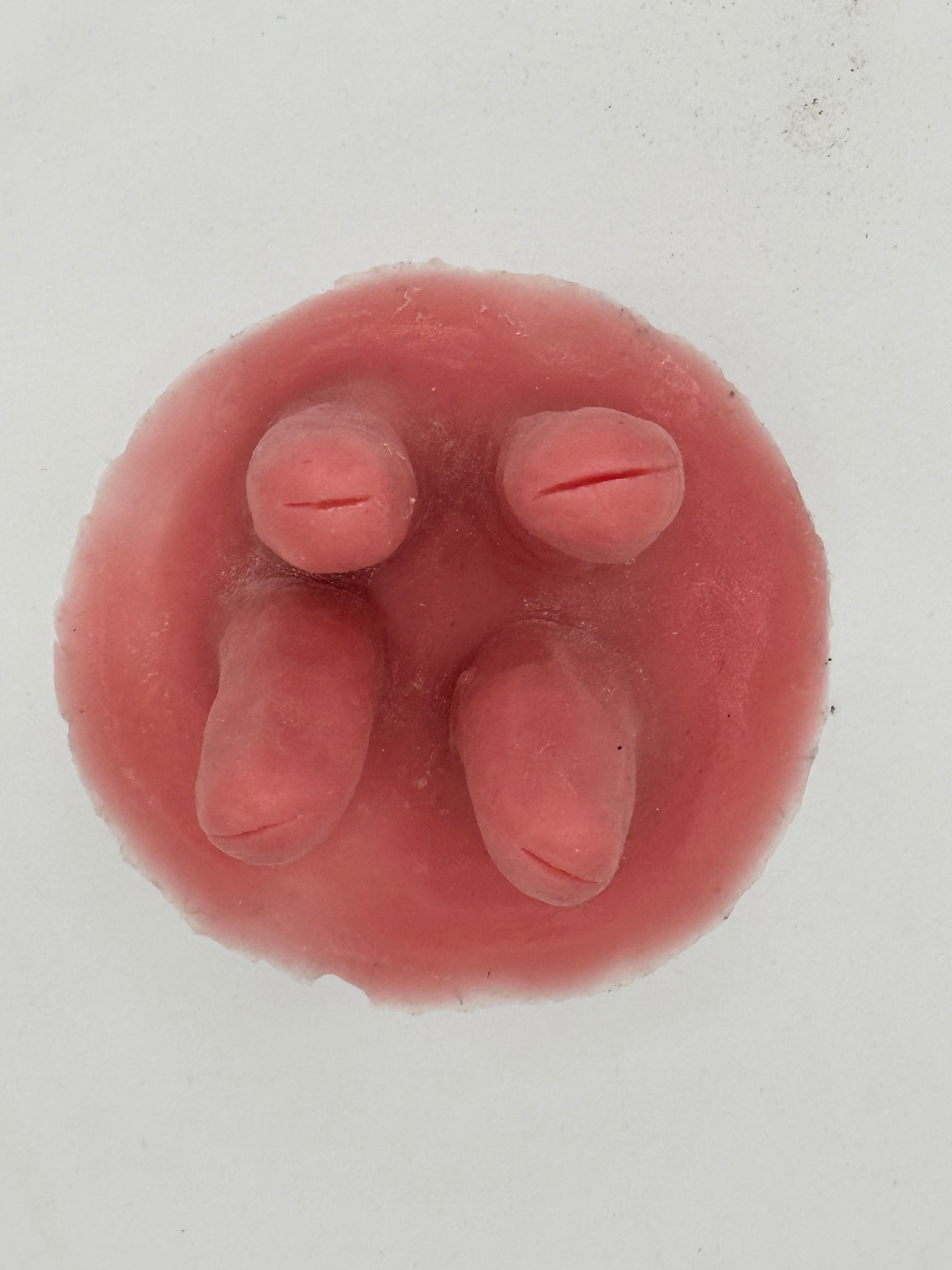 Silicone Cow Udder Nipple Covers - Breast Pasties